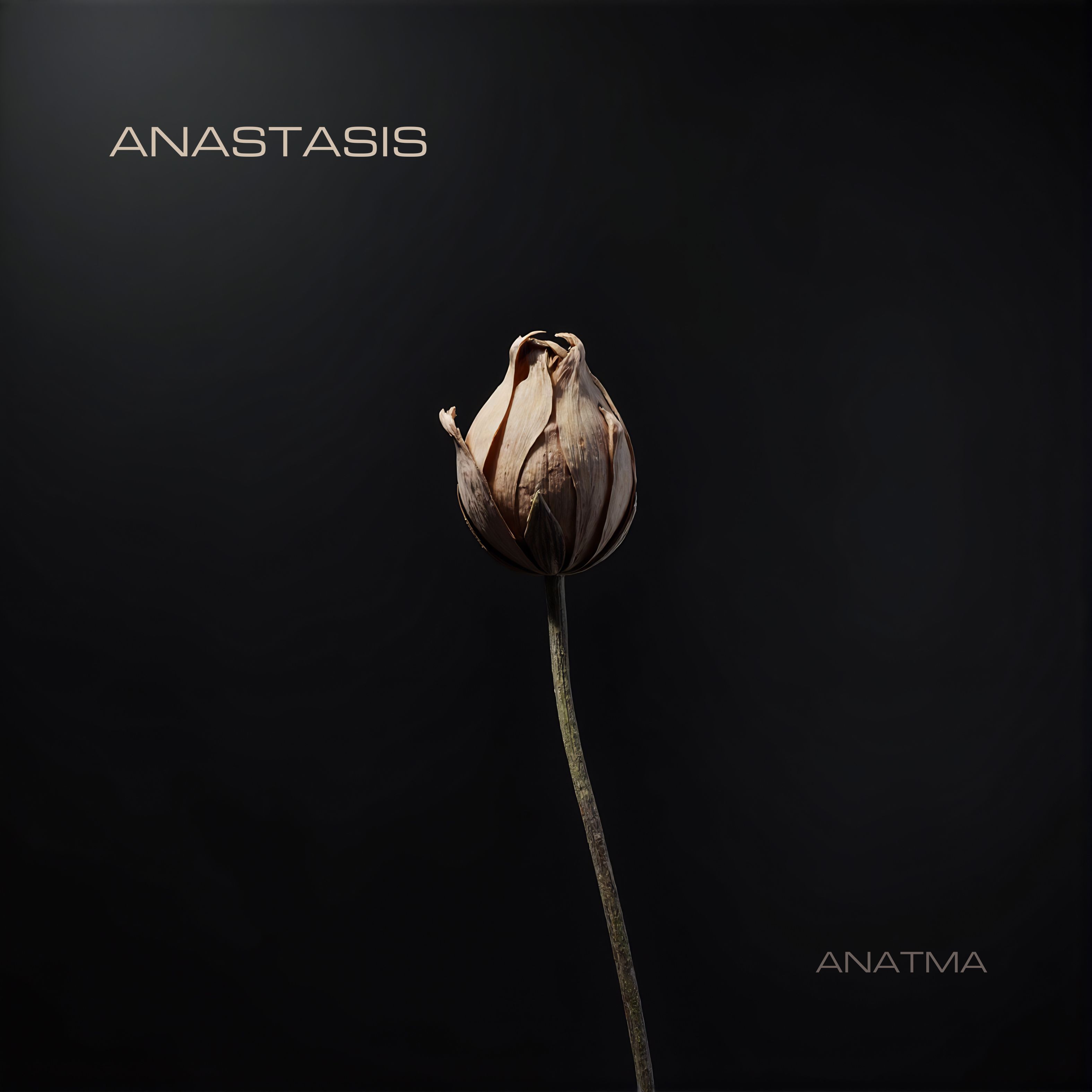 Anastasis